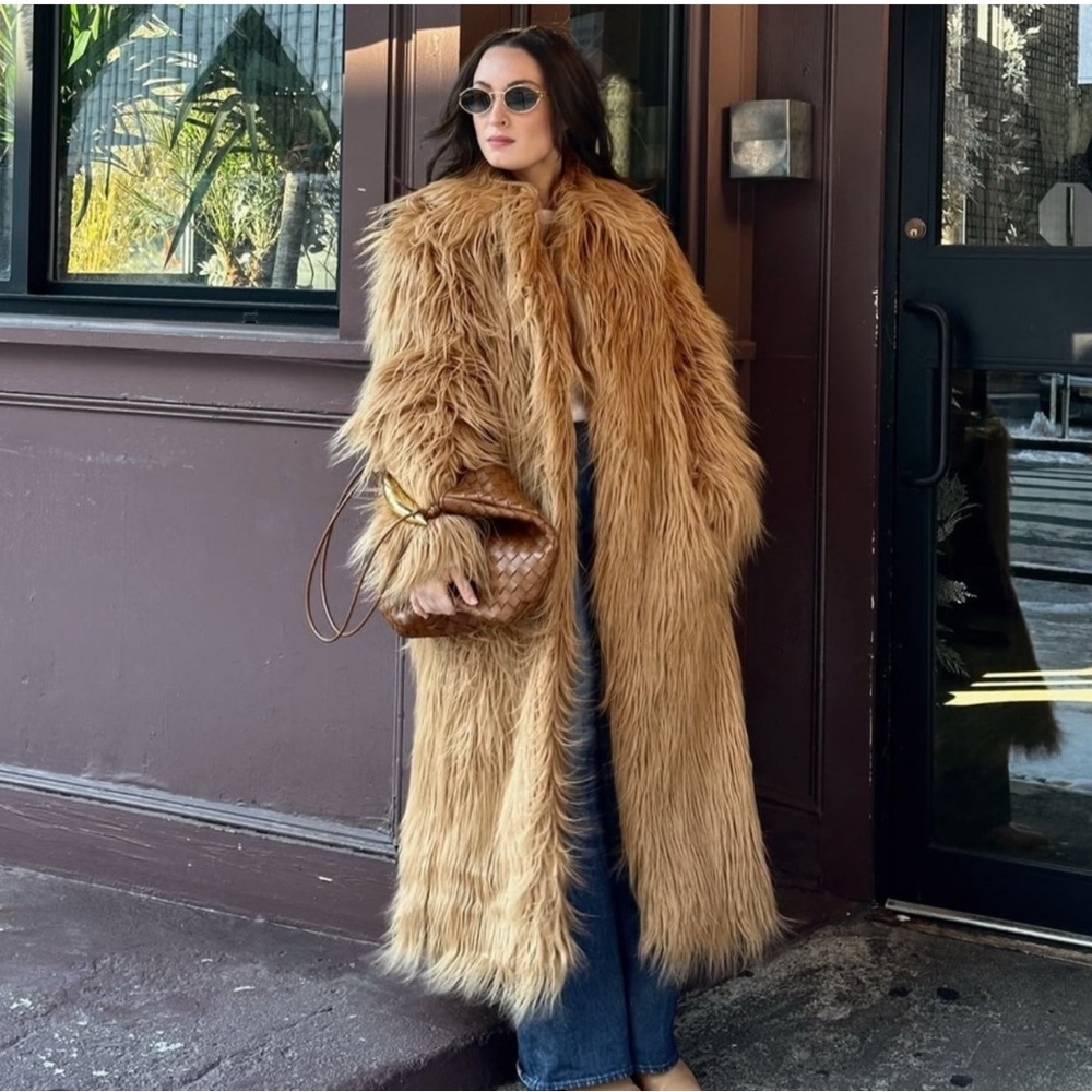 Zara Tan Teddy Jacket